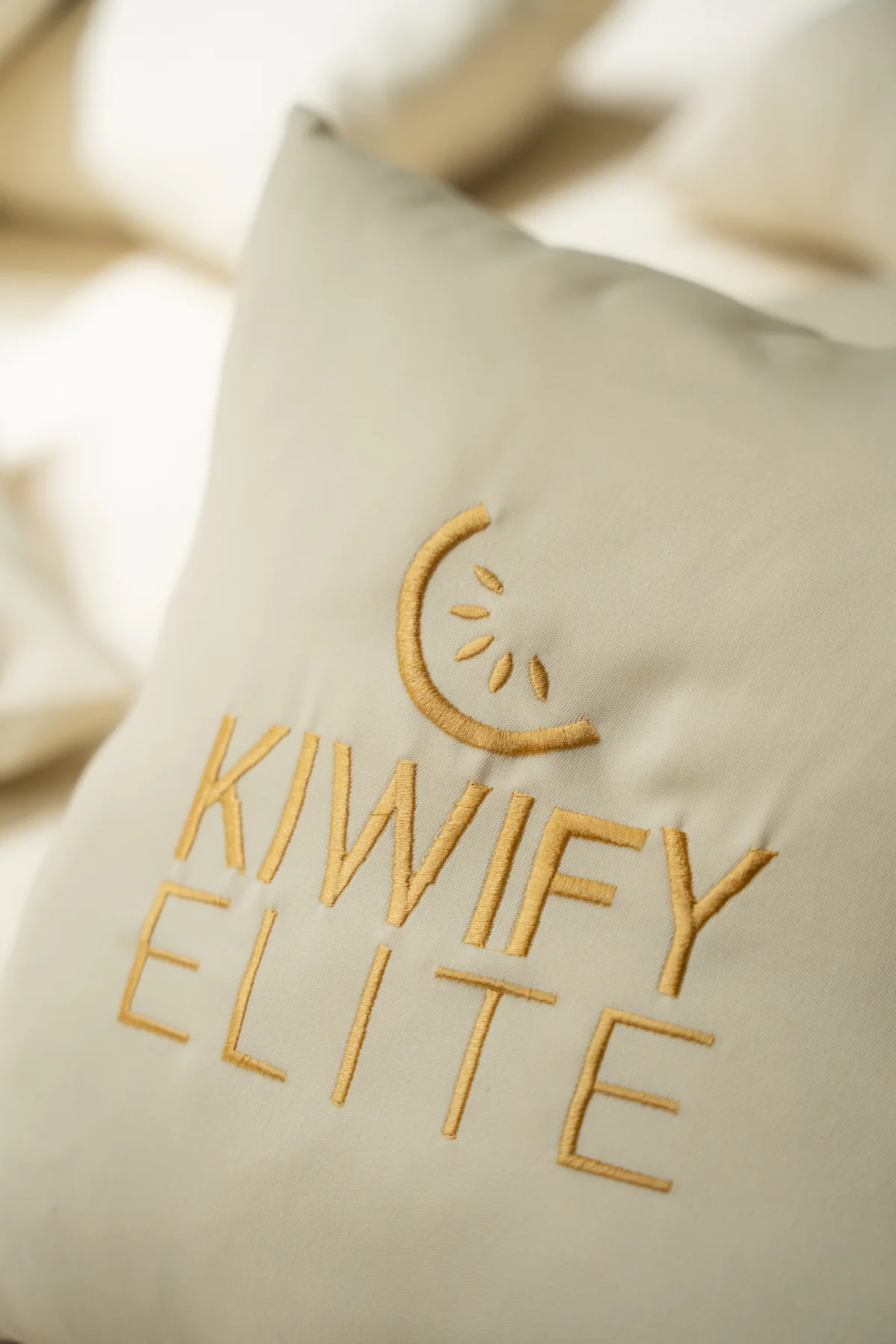 Detalhe da experiência Kiwify Elite no Grand Egyptian Museum